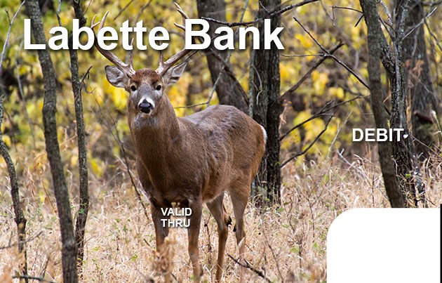 Buck