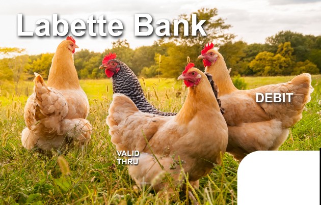 Chickens