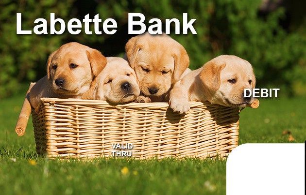 Puppies