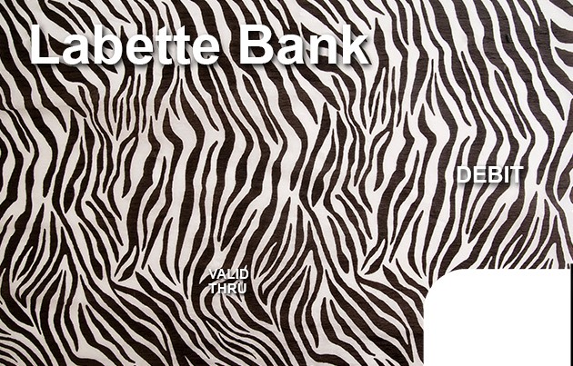 Zebra